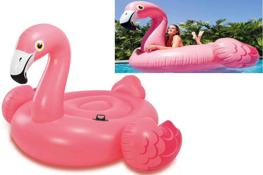 The circle of an inflatable unicorn
