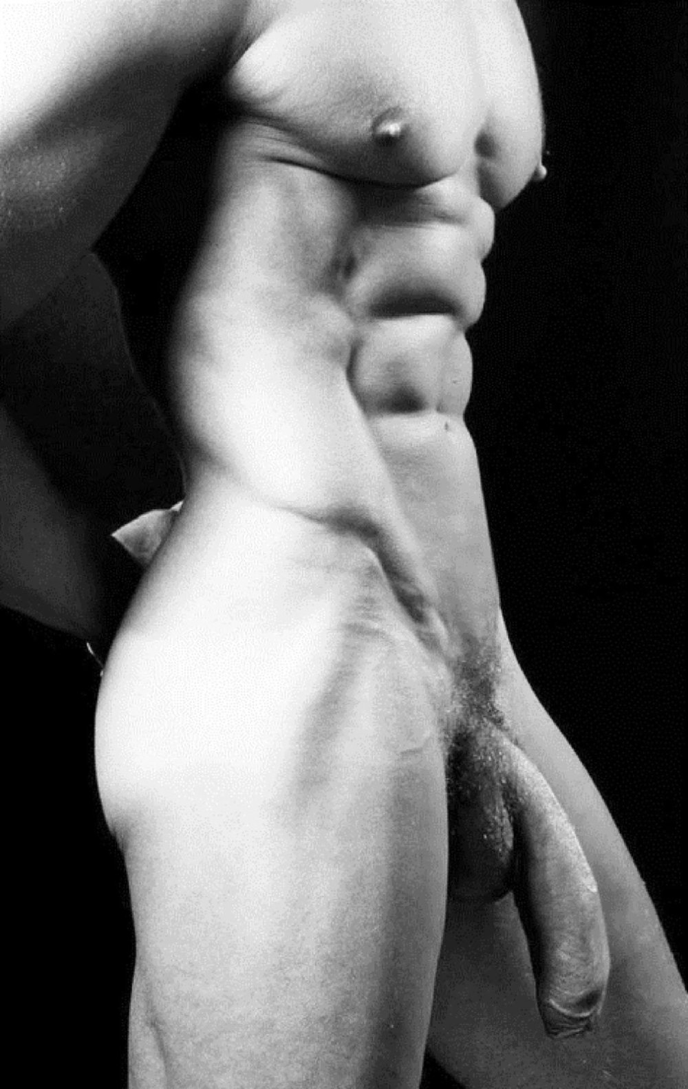 Beautiful naked men's penis
