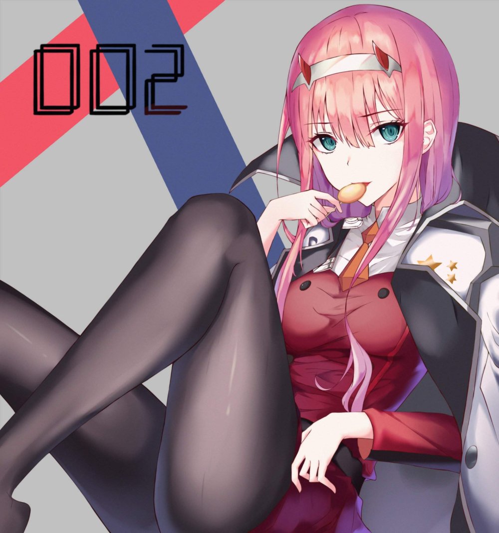 Zero Two Echchi