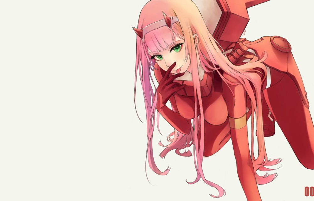 Zero Two breast