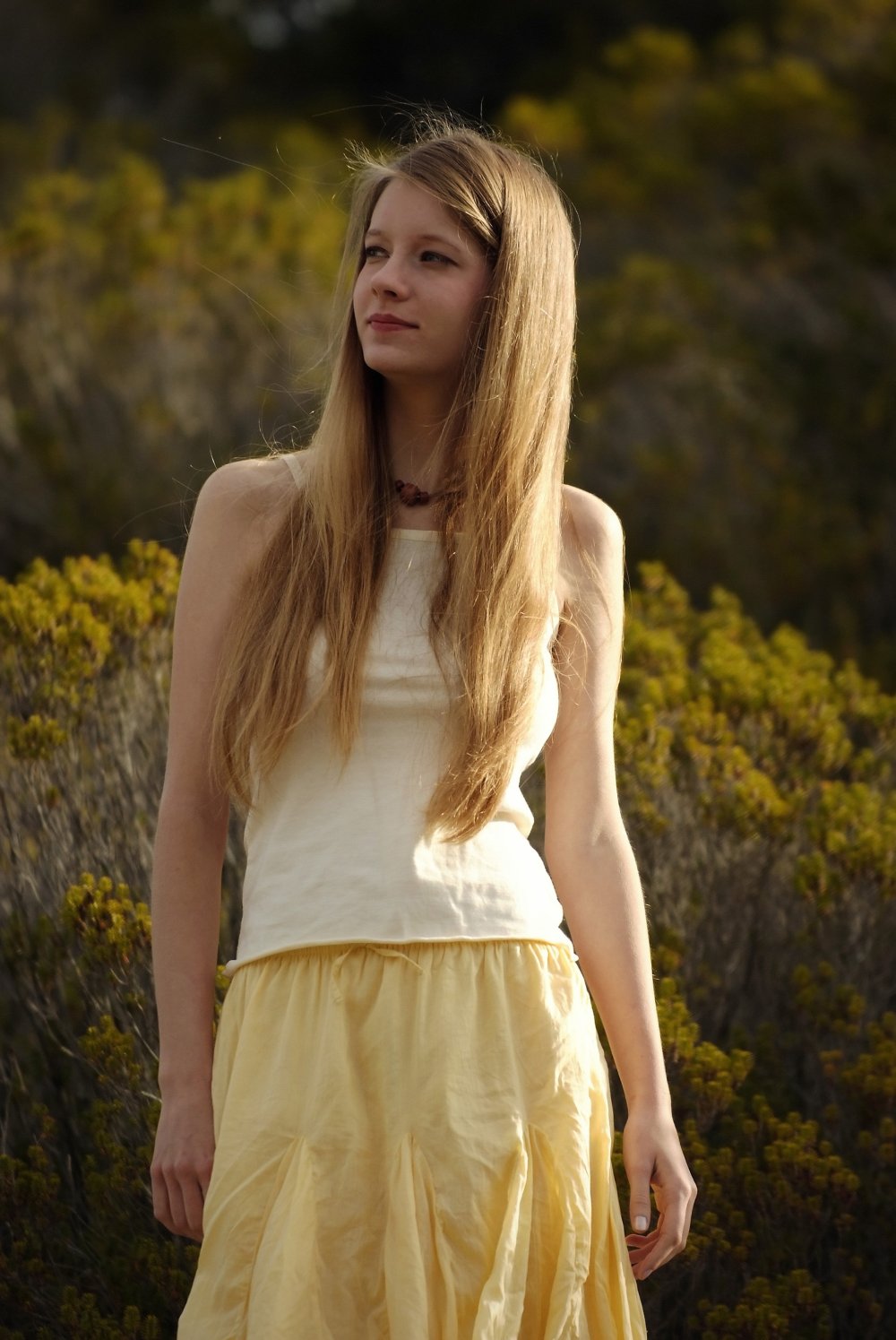 Ivona Petri