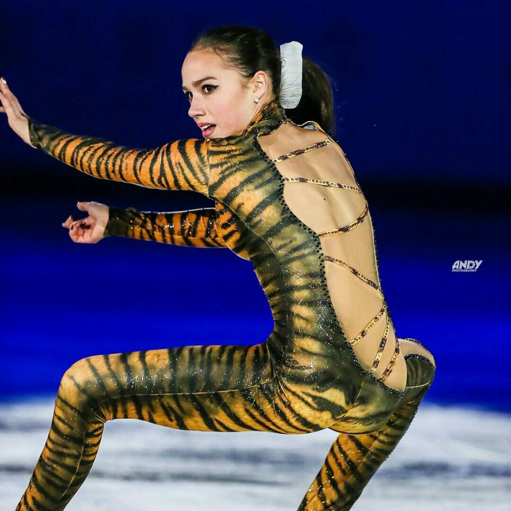 Alina skater 2020
