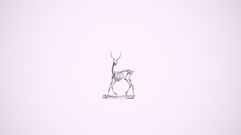 Falling person