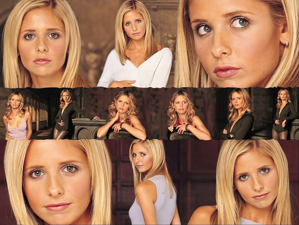 Sarah Michel Gellar Figure