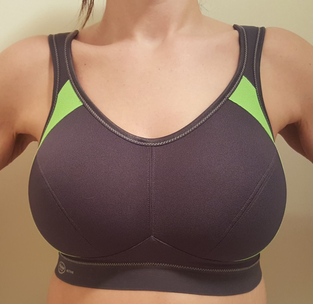 Panache Sports Short 5024 Gray