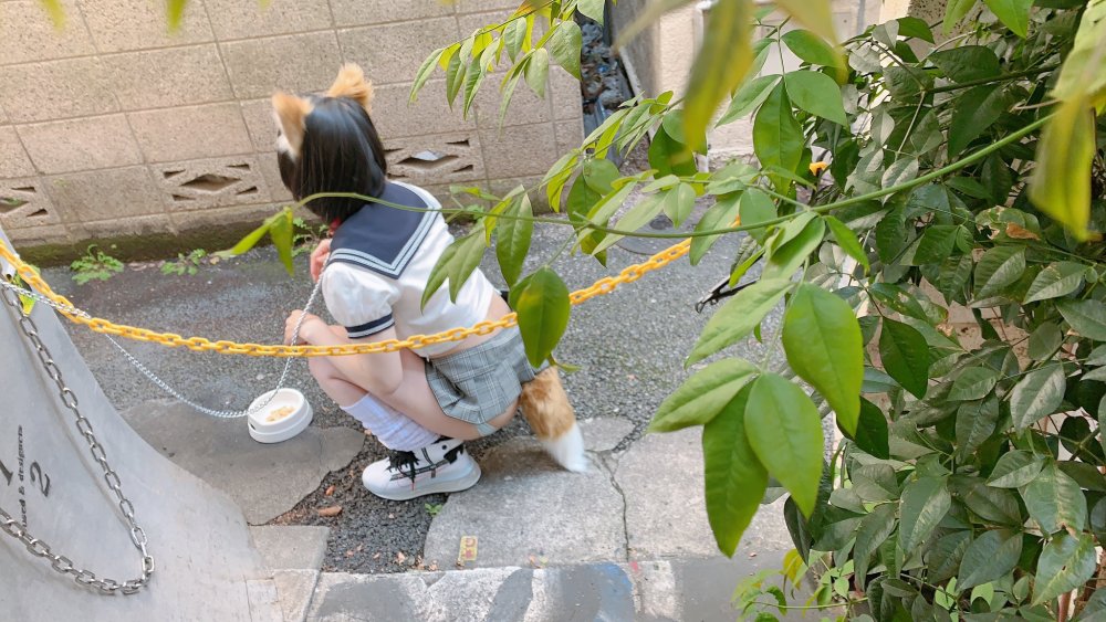 Ushijima iiniku 2018