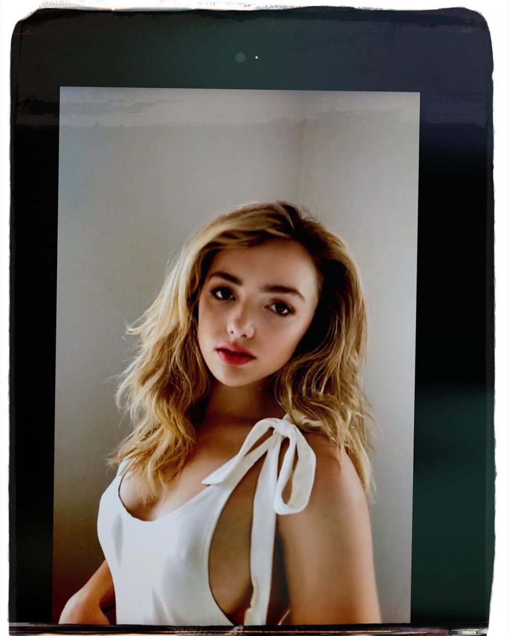 PEYTON Wesson model