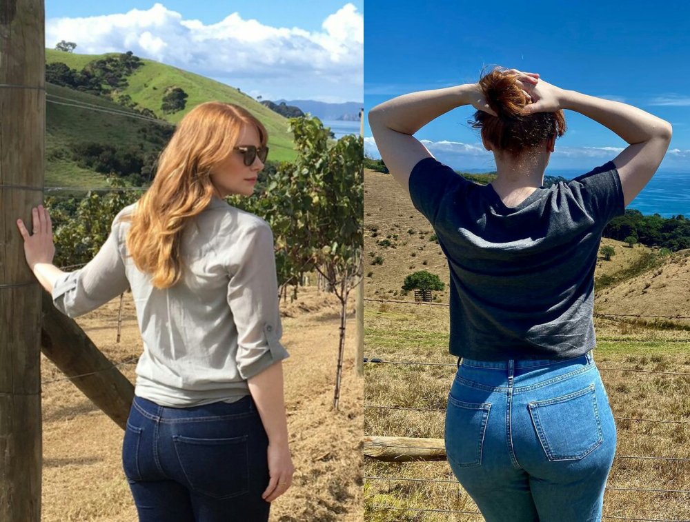 Bryce Dallas Howard Figure