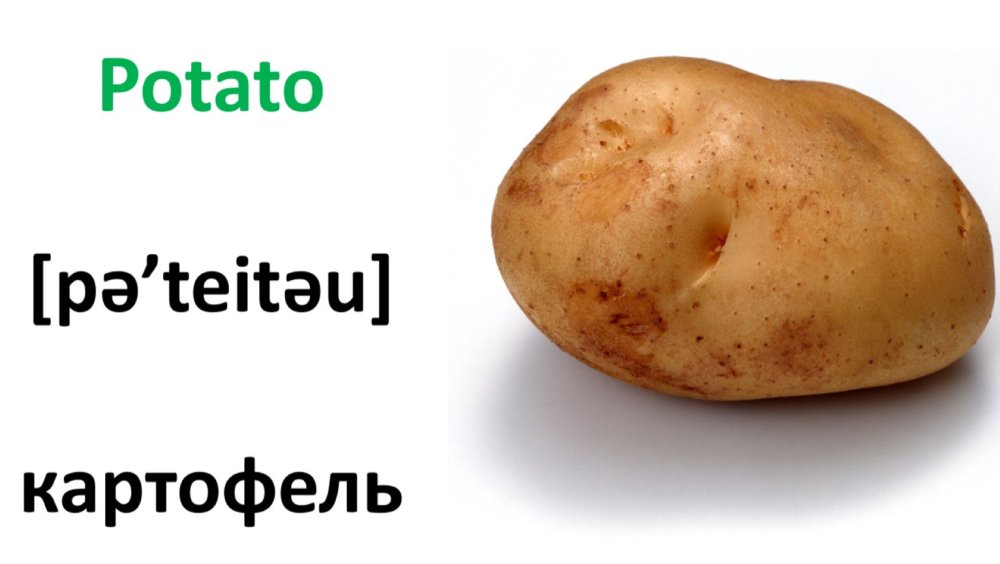 Funny craft from potatoes
