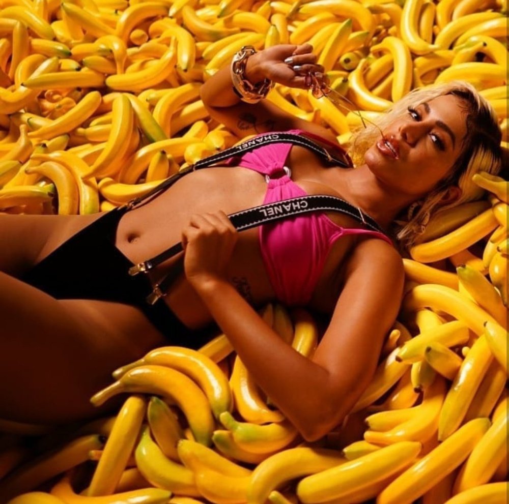 Anita Brazilian singer