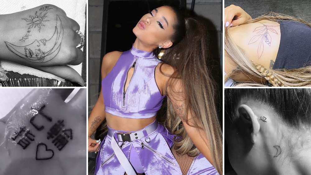 Ariana Fitness model