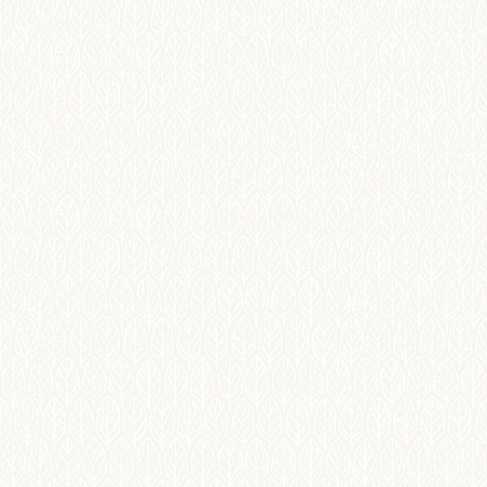 Brazzers wallpaper