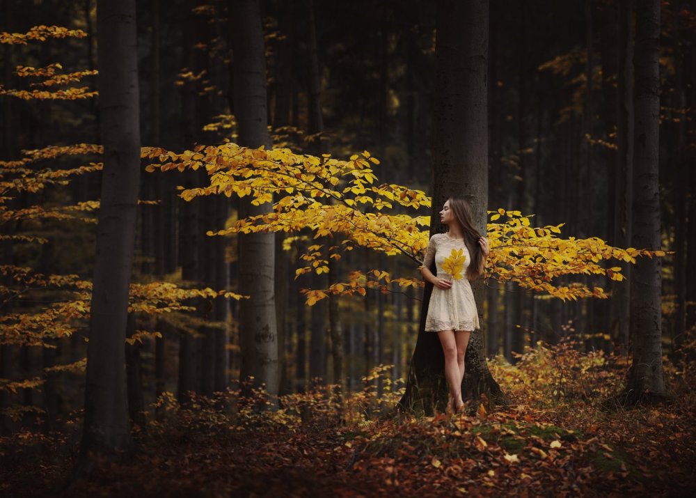 Autumn photo shoot