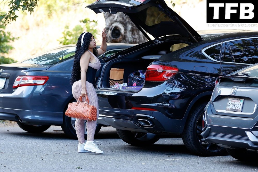 Alexis Texas vagina