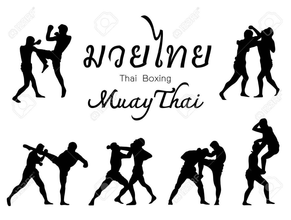 Stickers for auto Muai Tai