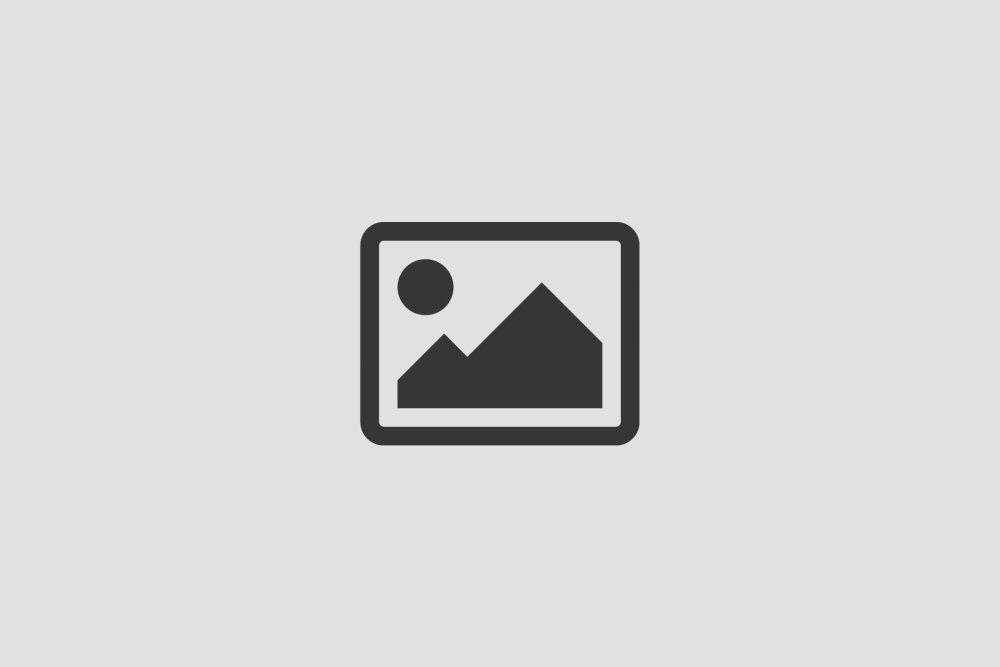 Julia Tica Biography