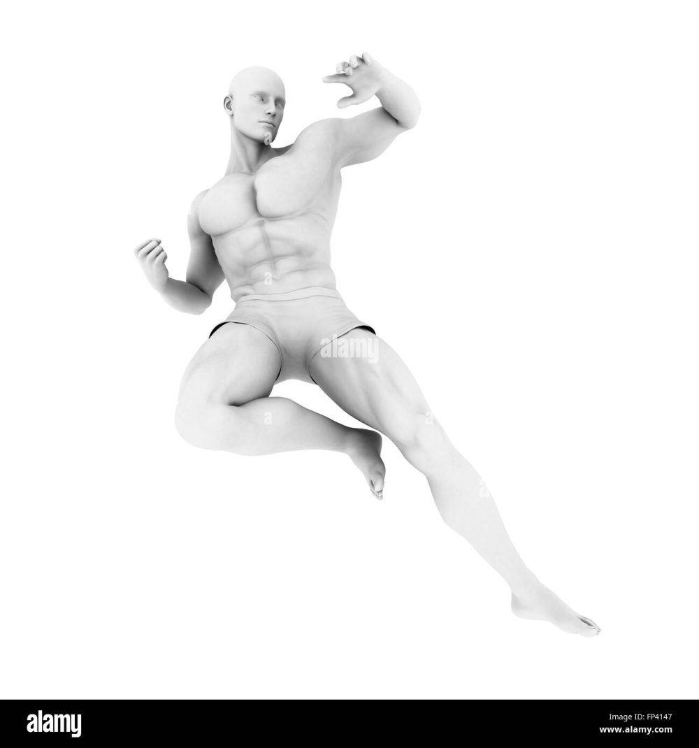 Male body 3D