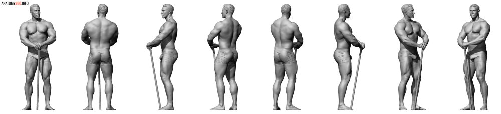 Boxer Reference