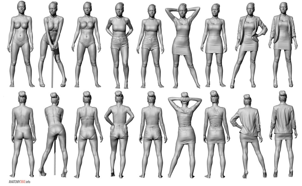 Male torso Anatomy