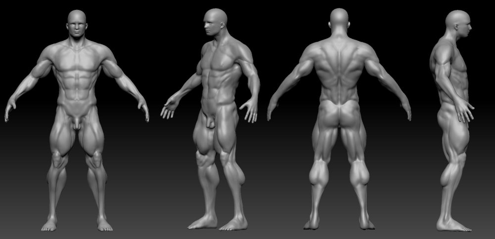 Athletic physique in men reference