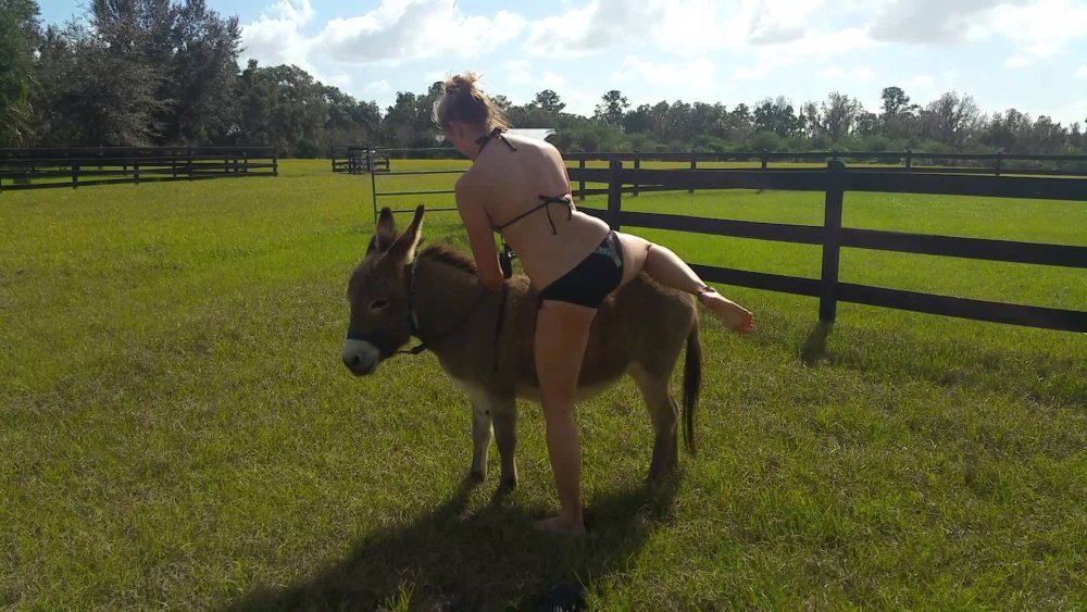 Sexy Clube Naked Girls Riding on Horseback