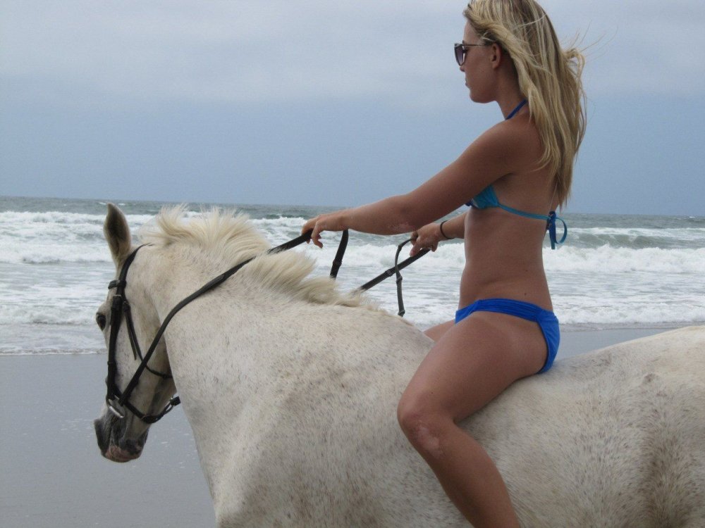 Pony