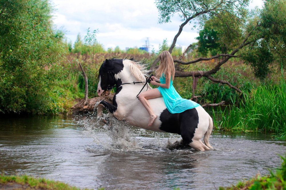 Rider on horseback