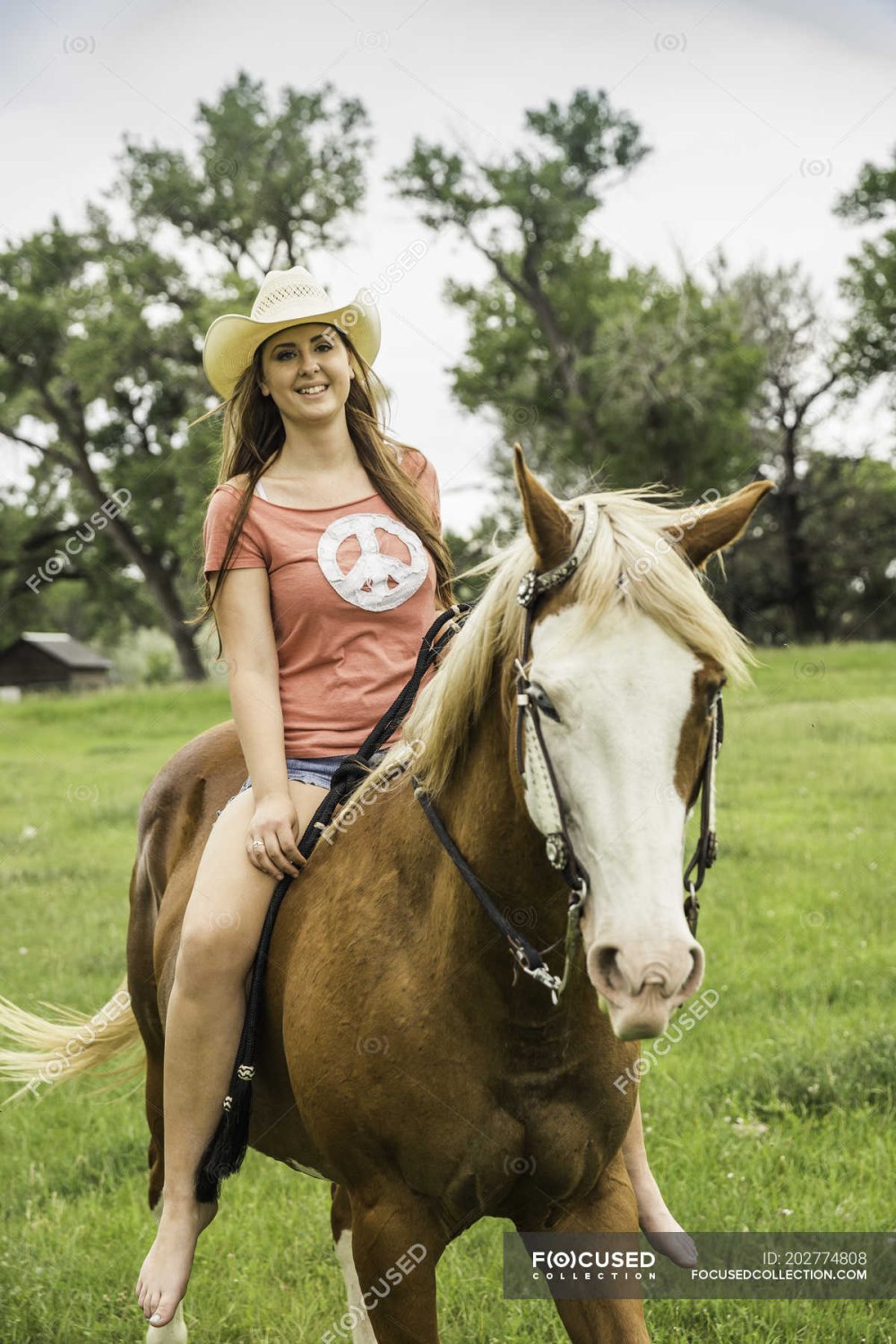 Brown with horses