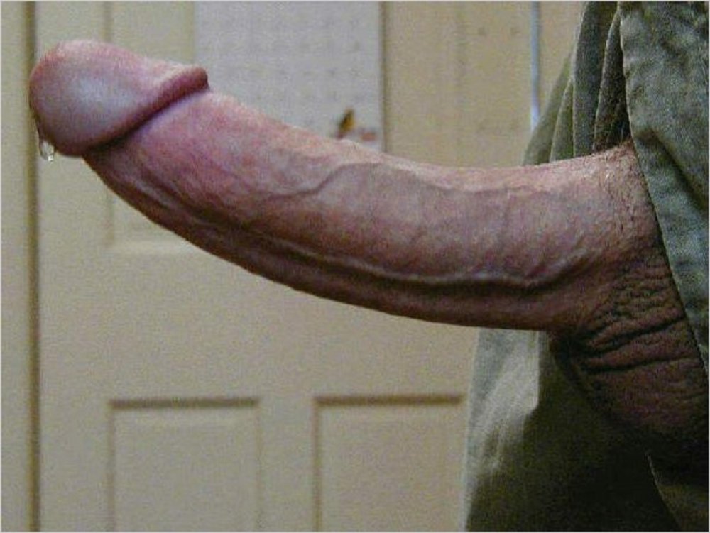 Young Blowjobs Blonde