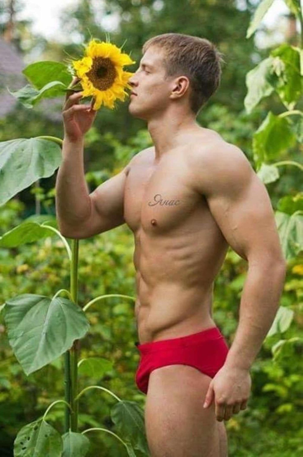 Ben Westland