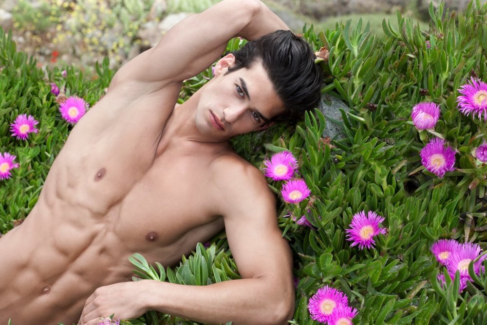 The beauty of the male body