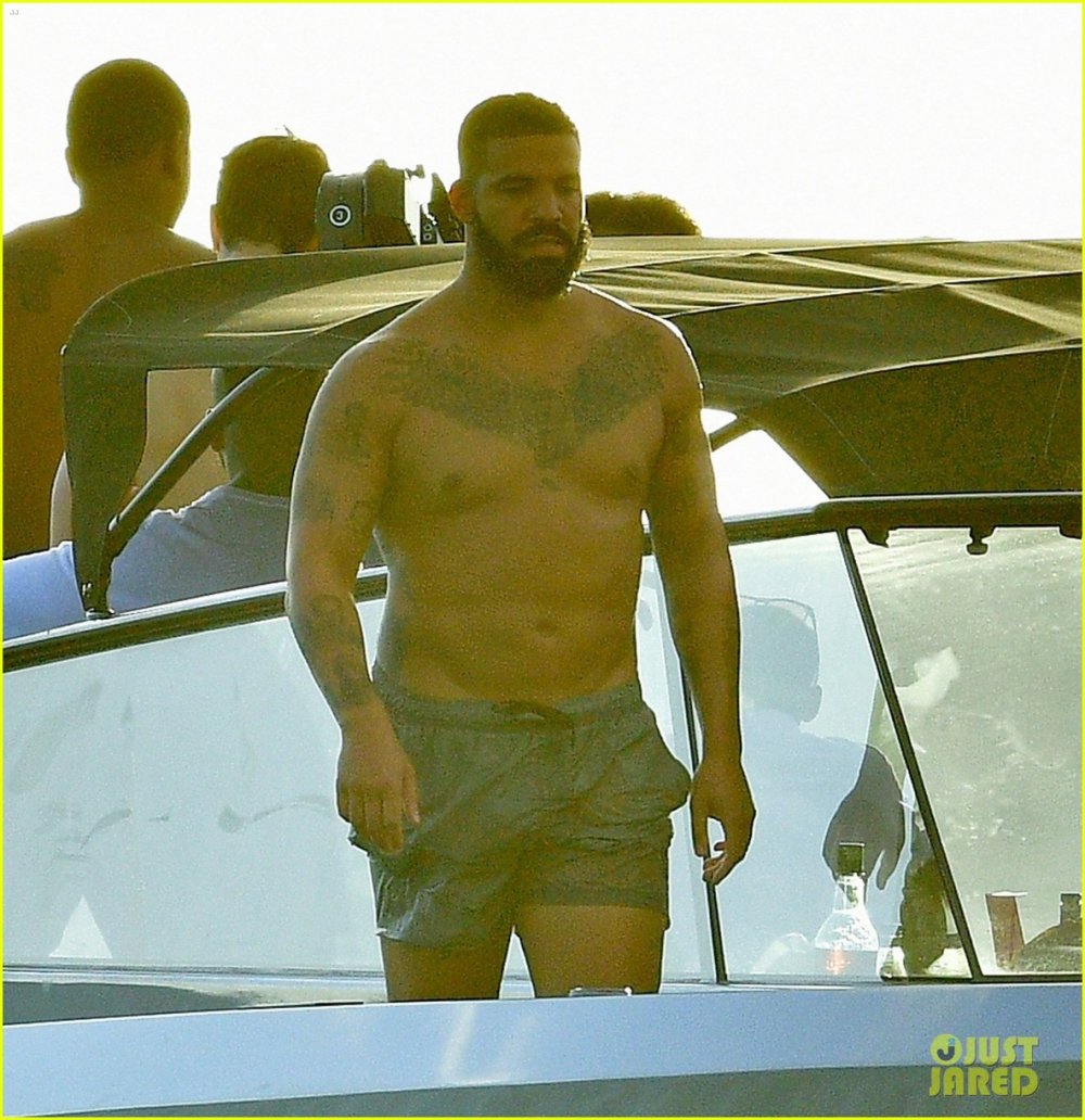 Drake torso