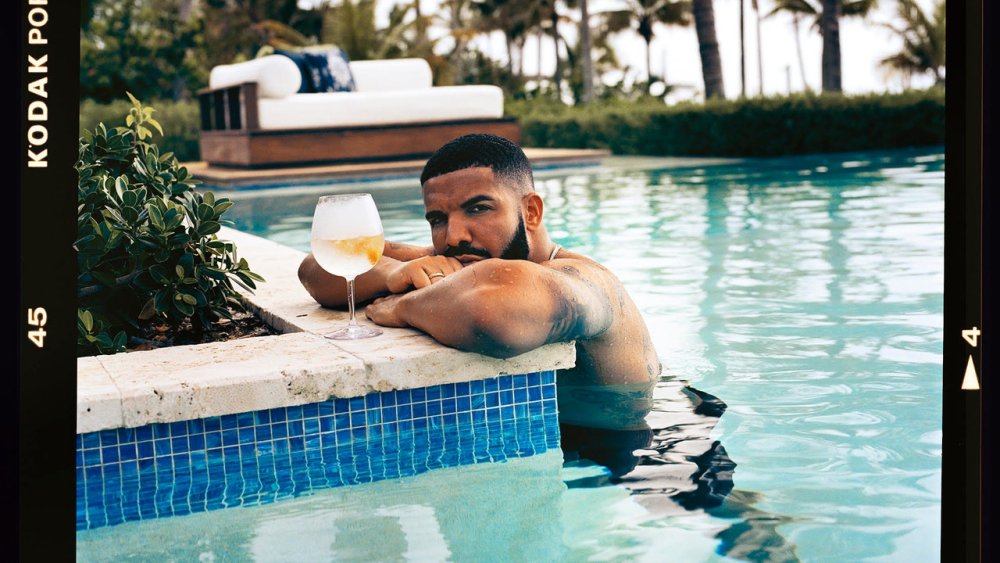 Drake in a fur coat