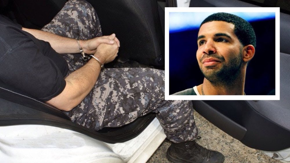 Drake torso
