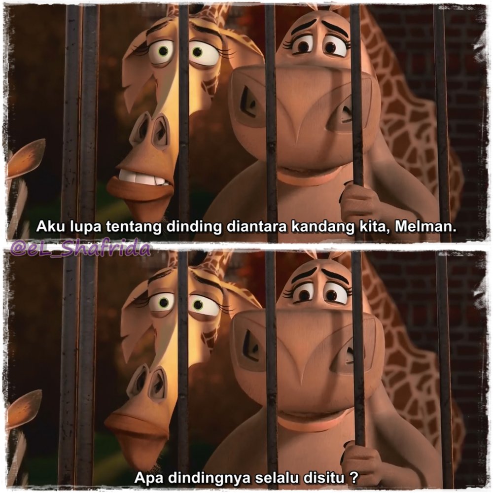 Melman Gloria Alex