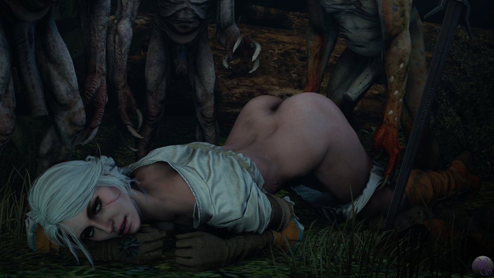 Witcher 3 Huge cock and Ciri