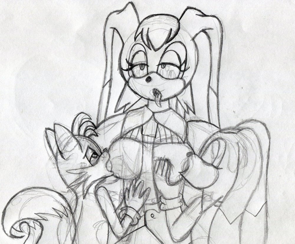 Sonic CRIM and VANILLA