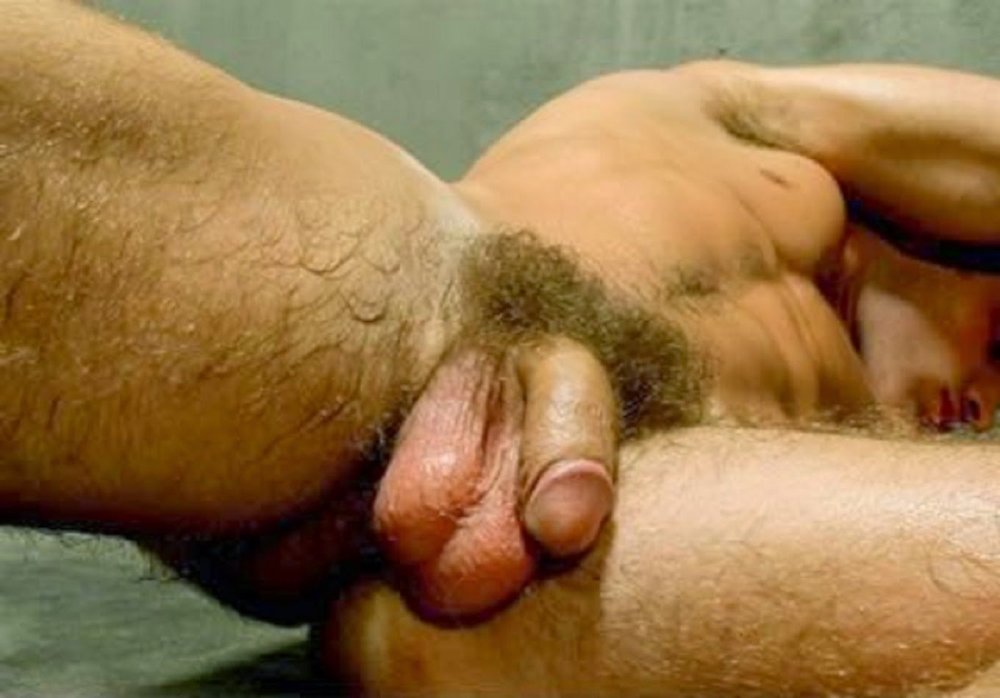 Hairy men with huge members