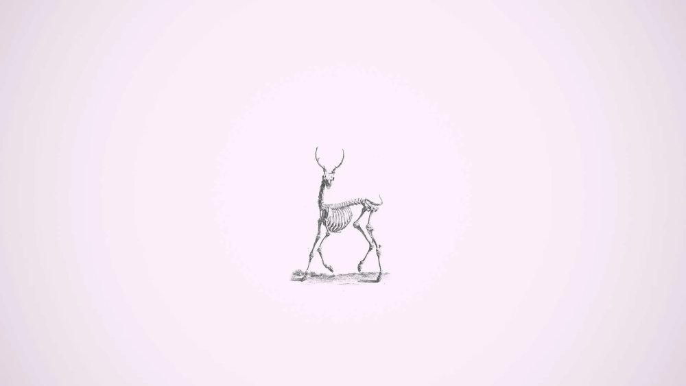 Fonts for tattoo minimalism