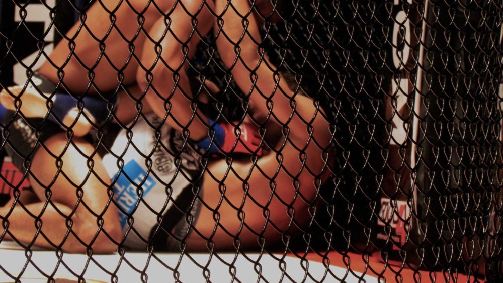 MMA world champion