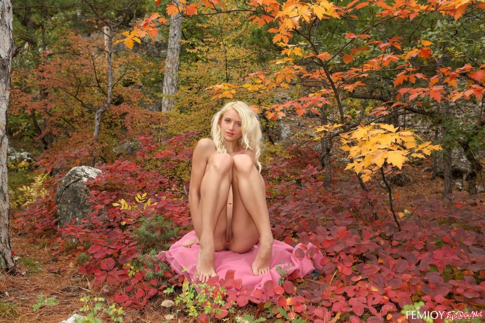 Naked women in the autumn forest
