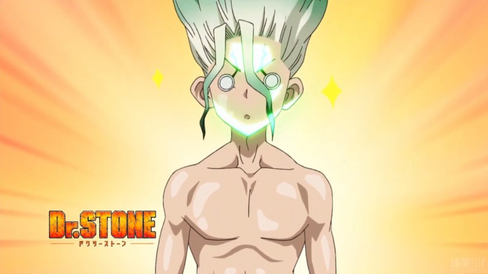 Anime Dr. Stone Ruri