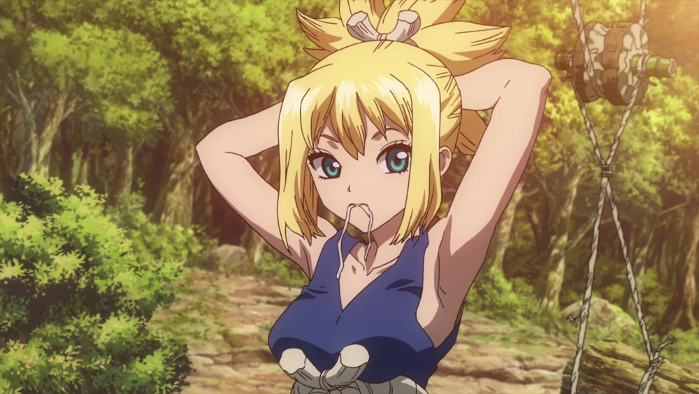 Dr. Stone Kohaku