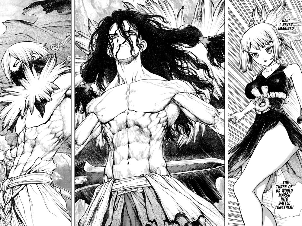 Senka Dr. Stone Torsos