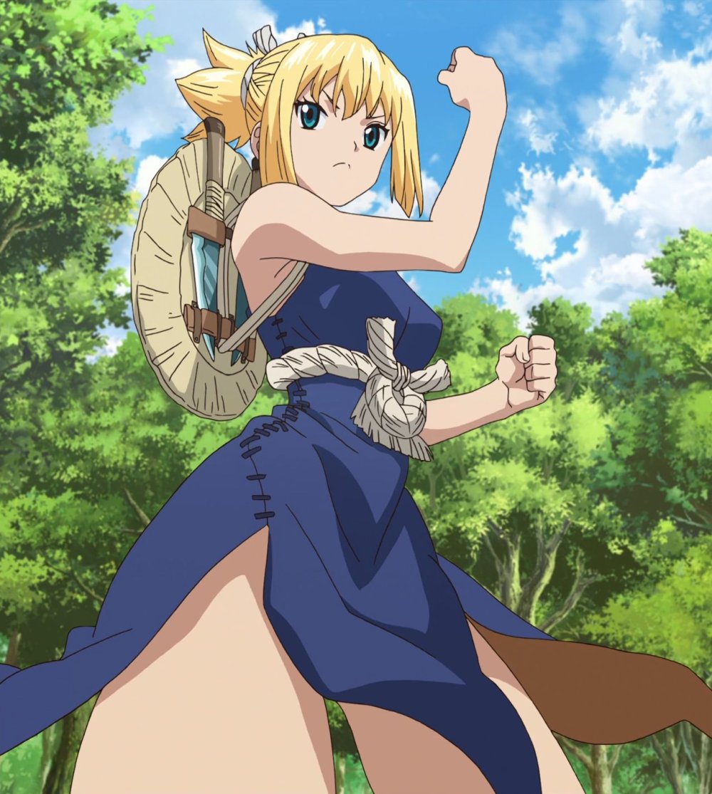 Mr.Stone 40 anime