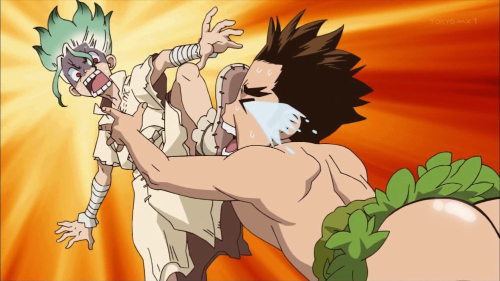 Dr Stone Hyouga