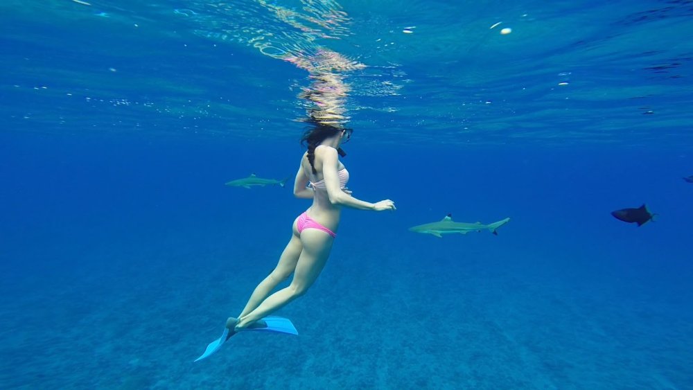 Bora Bora Snorcling