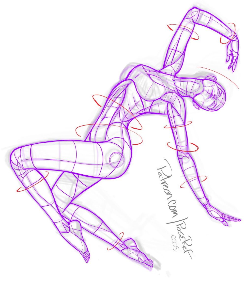 Ych Base Reference Furia