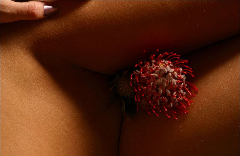 Erotic macro photography