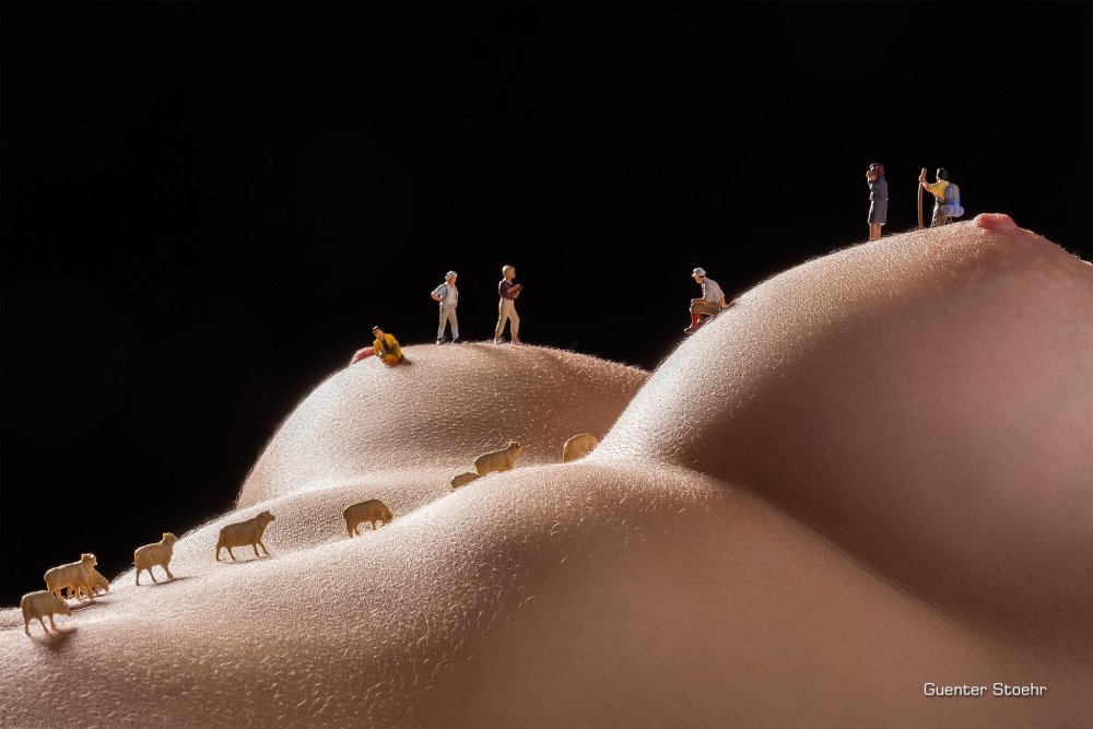 The beauty of the female body nude